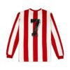 Jersey Pižon - Image 2